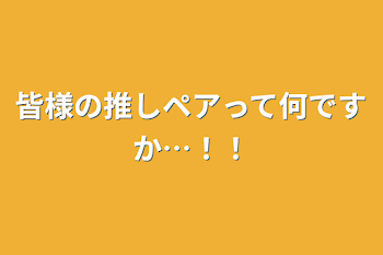 皆様の推しペアって何ですか…！！