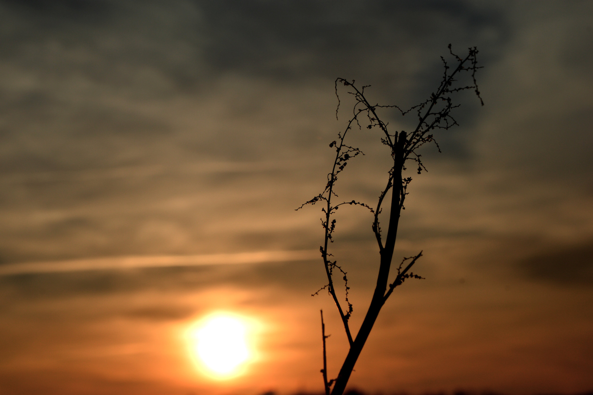 Loneliness at the sunset di KAY1912