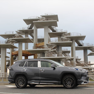 RAV4 AXAH54