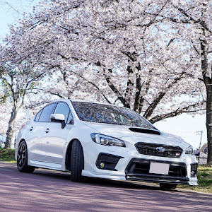 WRX STI VAB