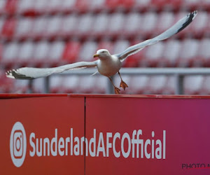 23-jarige telg van familie Louis-Dreyfus wordt eigenaar van Sunderland in League One