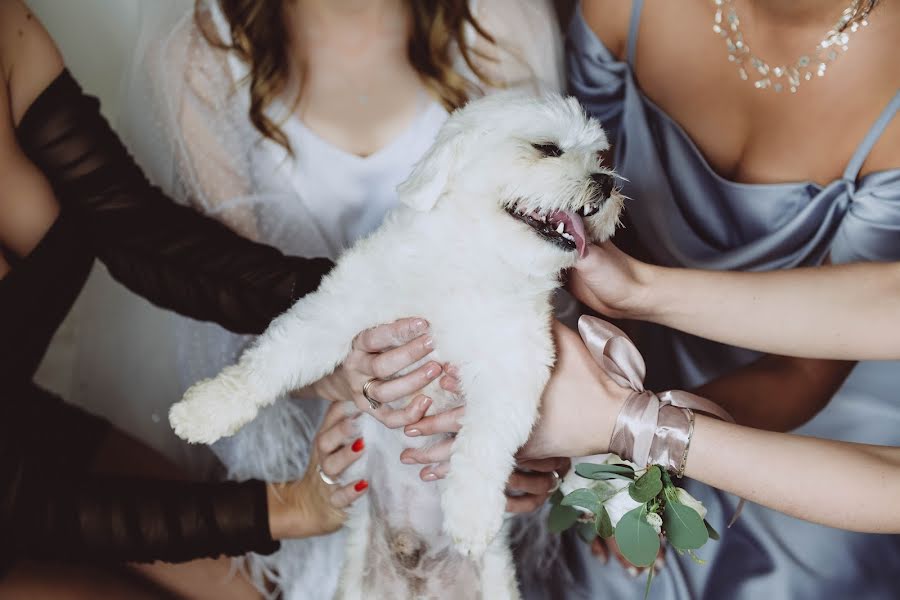 Vestuvių fotografas Oleksandra Scherbakova-Oliynyk (oleoli). Nuotrauka 2020 gegužės 11