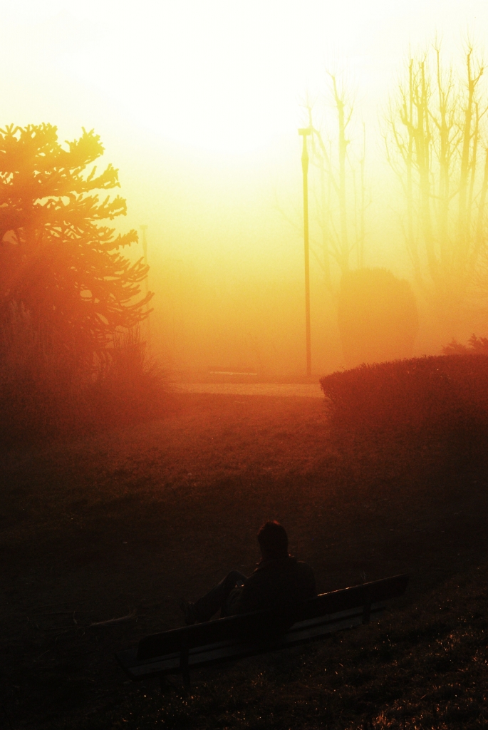 Nebbia al tramonto di estela