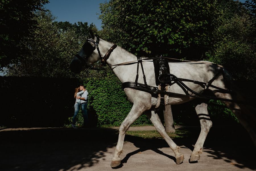 Wedding photographer Vasiliy Drotikov (dvp1982). Photo of 30 September 2018