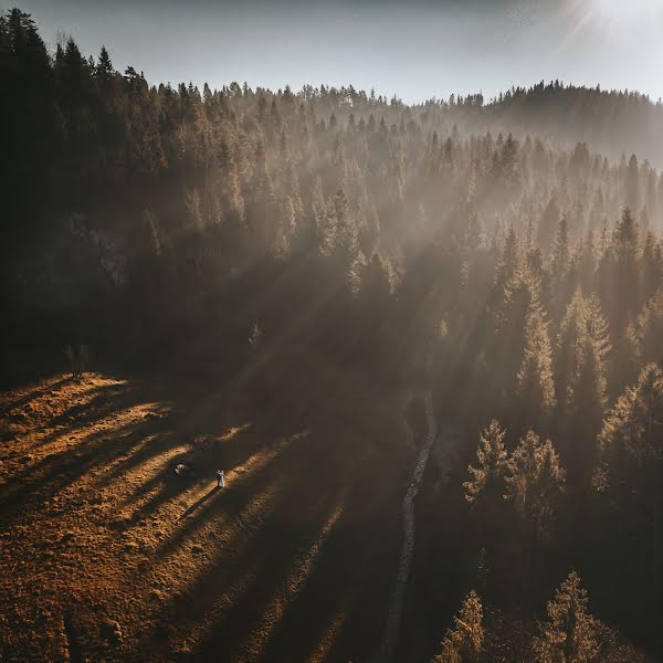 Fotografo di matrimoni Visign Weddings (visign). Foto del 14 gennaio 2019