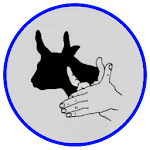 Cover Image of Download Hand Shadow Ideas 1.0 APK