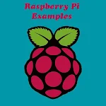 Raspberry Pi Examples Apk