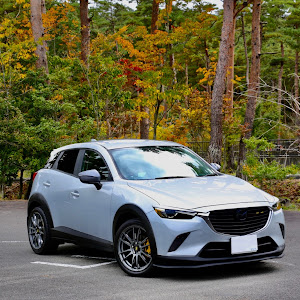 CX-3 DK5FW