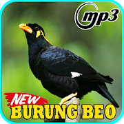 Kicau Burung Beo Gacor Mp3  Icon