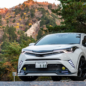 C-HR NGX50