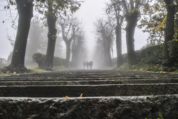 fog  stairs di thepatient
