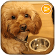 Download ویدیو حیوان خانگی - pet video For PC Windows and Mac 1.0