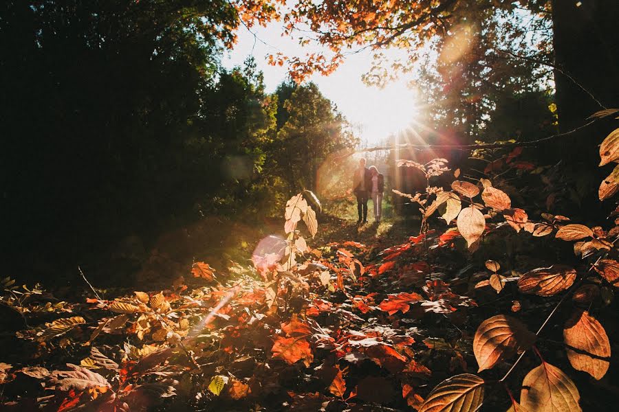 Wedding photographer Polina Pavlikhina (polinapavlihina). Photo of 20 October 2014