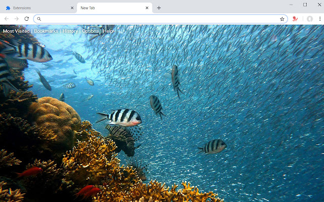 Ocean HD Wallpapers Underwater New Tab Theme