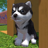 Cute Pocket Puppy 3D - Part 2 icon