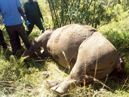 KWS officers where a rhino was killed at the Nakuru National Park on Tuesday, July 31, 2018. /COURTESY