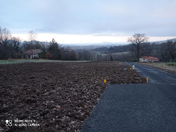 terrain à Montmorin (63)