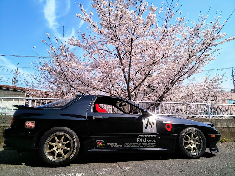 RX-7のFC3S・ミッチー撮り・桜とコラボ・桜と愛車・桜🌸2021に関するカスタム事例の投稿画像5枚目
