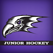 Niagara Jr. Purple Eagles  Icon