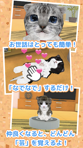 Updated ねこ育成ゲーム 完全無料 子猫をのんびり育てるアプリ かわいいねこゲーム Pc Android App Mod Download 22