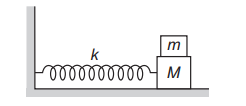 Spring-mass system