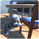 Download Cat Simulator 