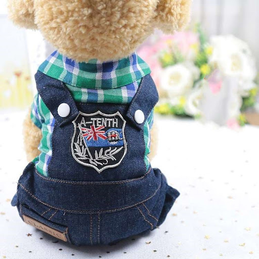 Title 13, Four-legged dog clothes for comfort and style. ...
