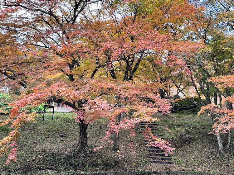 の投稿画像12枚目