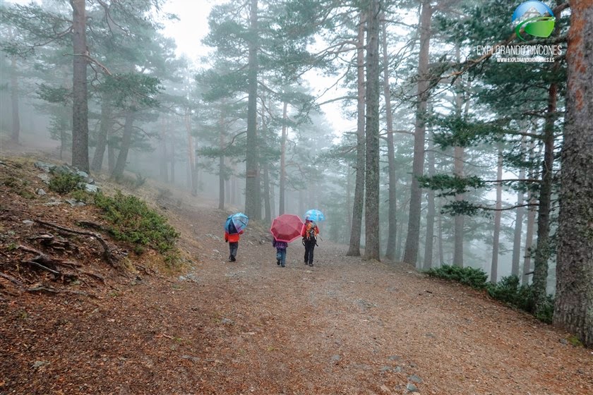 COMO HACER MONTAÑA EN FAMILIA - MONTÓN DE TRIGO - SENDERISMO SIERRA DE GUADARRAMA