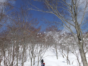 最後の登りに