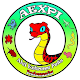 Download Aexpi petshop For PC Windows and Mac 1.0.0