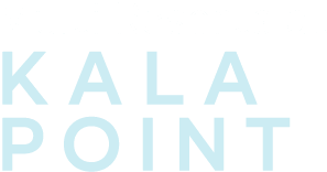 Multi Resorts At Kala Point