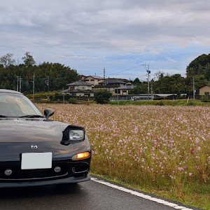 RX-7 FD3S 中期