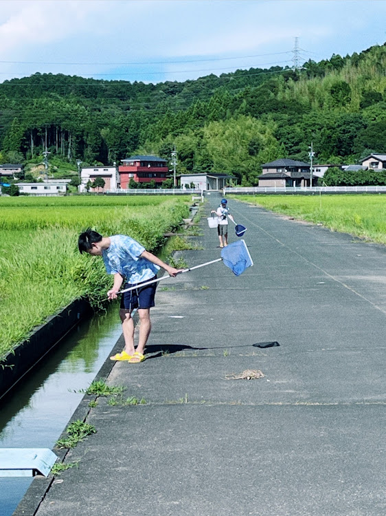 の投稿画像2枚目