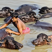 L'acqua: Dea di Varanasi. di 