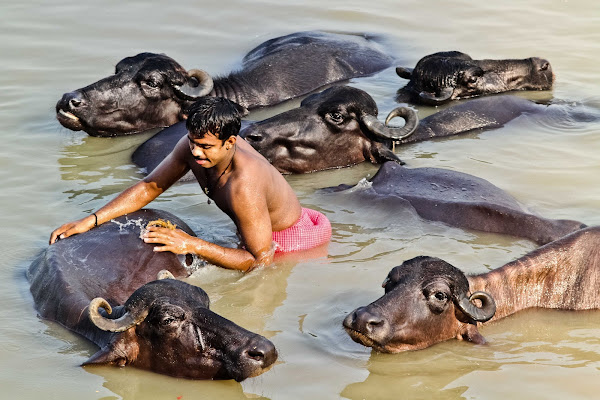 L'acqua: Dea di Varanasi. di AdrianoPerelli