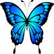 Download Butterfly Interests For PC Windows and Mac 2.0