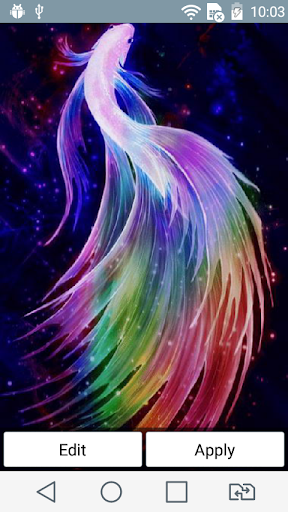 Rainbow fish live wallpaper