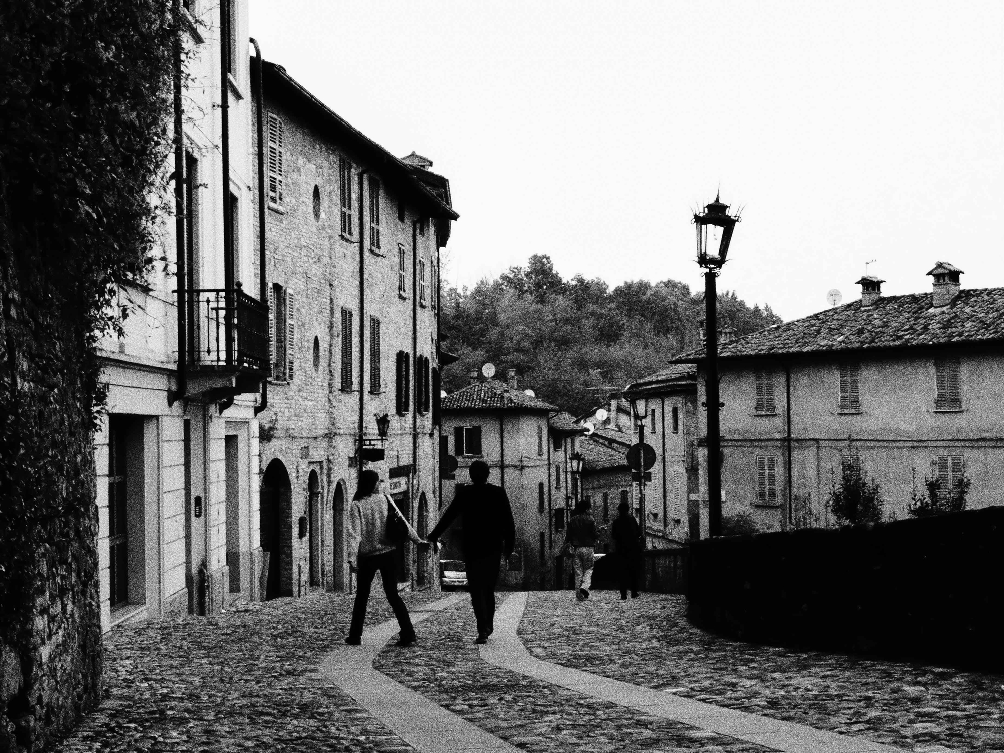 I fidanzati di trifoglio