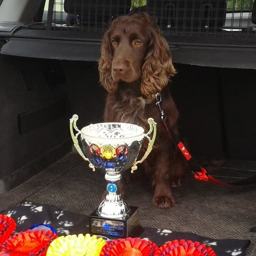 Burnham & District Dog Training Club logo