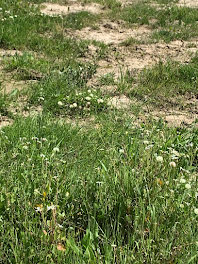 terrain à Saint-Brevin-les-Pins (44)