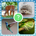 Icon Animals quiz zoo: fish birds