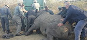 A second rhino that escaped from the Hluhluwe-iMfolozi Park in northern KwaZulu-Natal was captured on Sunday.