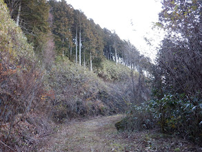 左上に登山道が見えて