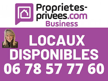 locaux professionnels à Decines-charpieu (69)