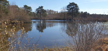 propriété à Neuvy-sur-Barangeon (18)