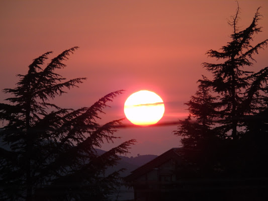 Tramonto tra gli alberi di Dany83