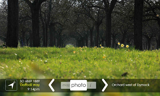 Daffodil Way(圖1)-速報App