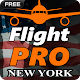 Pro Flight Simulator NY Free