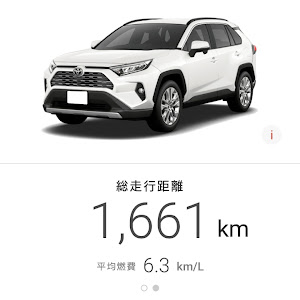 RAV4 ACA31W